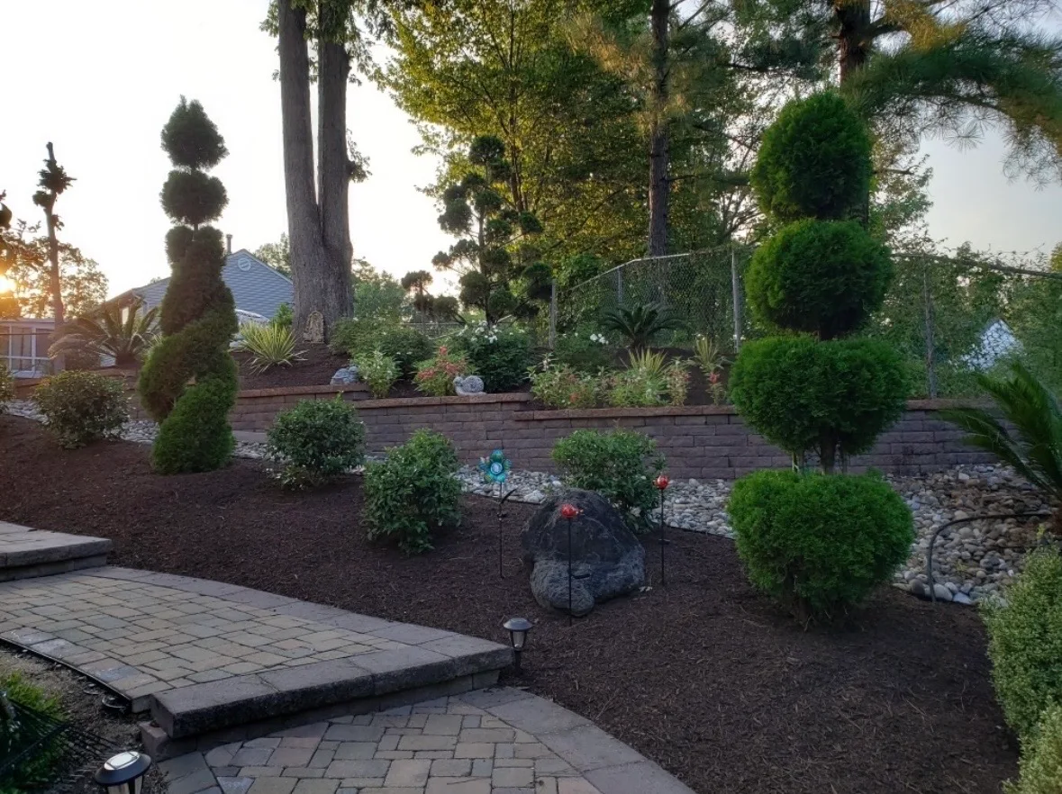 Manicured garden at dusk with topiary shrubs, mulch beds and a paver patio