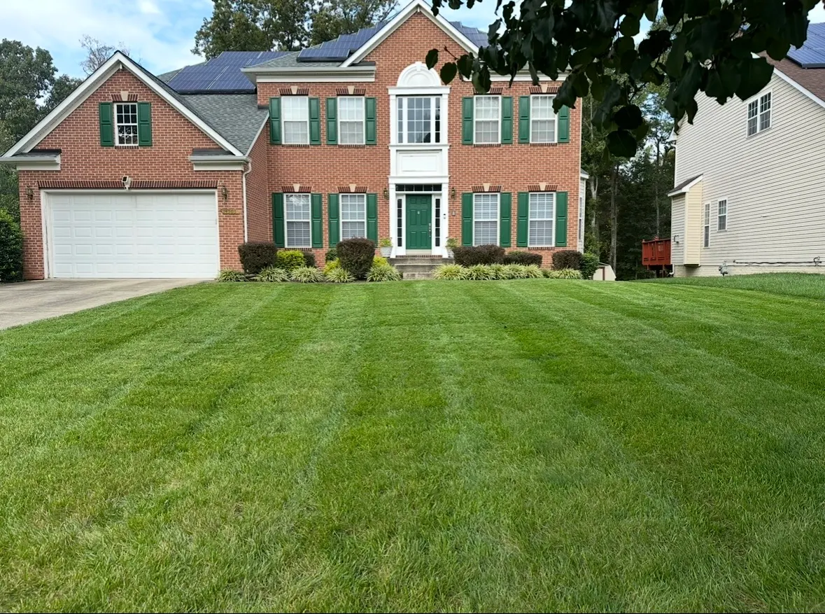 Striped green lawn at a brick colonial home framed by mature trees