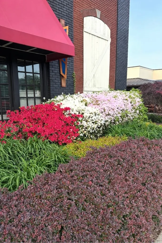 Colorful flower bed of red, white and purple blooms at a building entrance